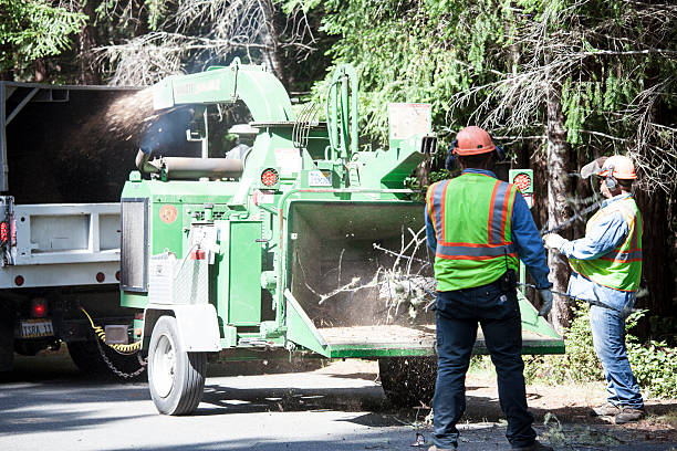 Mulching Services in Aptos, CA